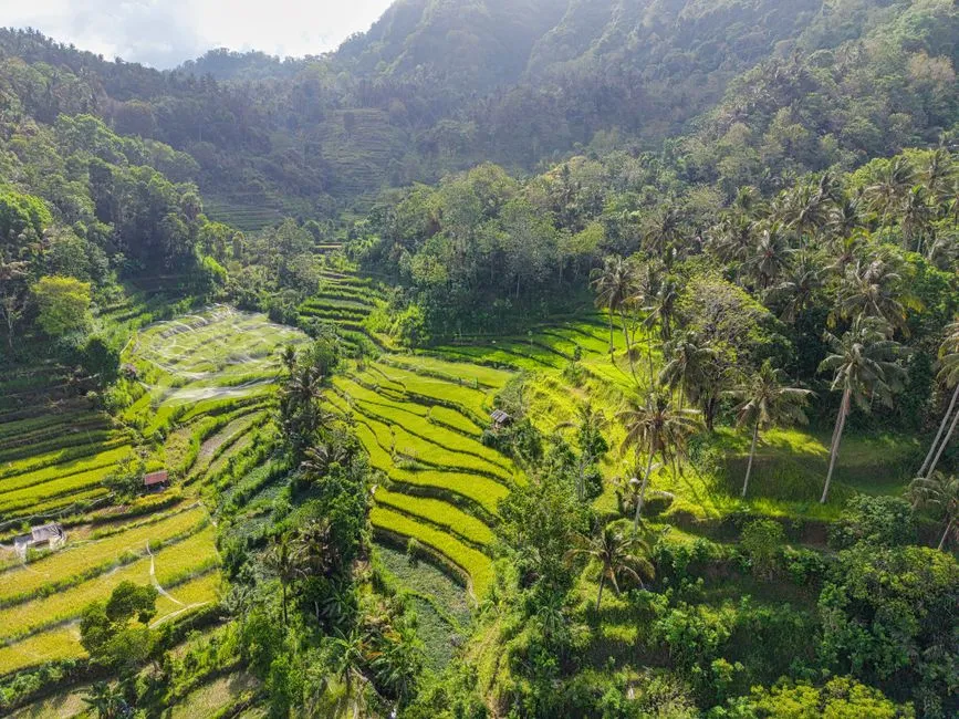 Best Snorkeling Spots in Bali for Non-Diving Days
